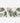 Artworld Wall Art Tropical Monstera Art Set 836