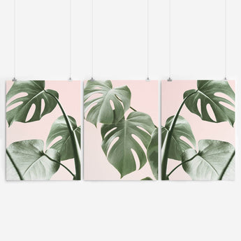 Artworld Wall Art Tropical Monstera Art Set 836