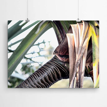 Artworld Wall Art Tropical Nature photography Wall Art 838