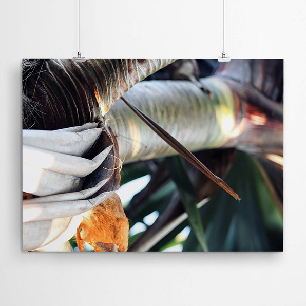 Artworld Wall Art Tropical Nature Wall Art 840