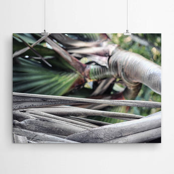 Artworld Wall Art Tropical Nature Wall Art Prints 84