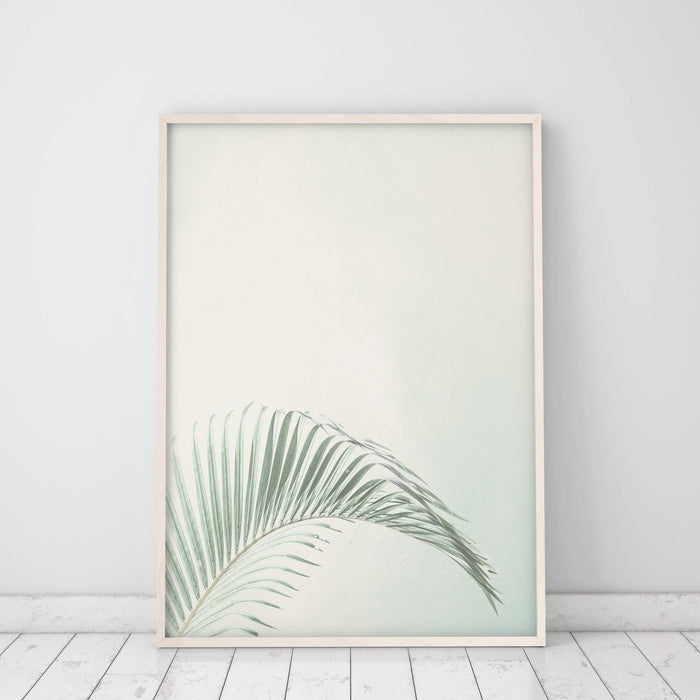 Tropical Palm Leaf Print