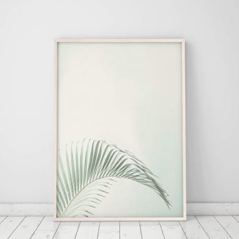 Artworld Wall Art Tropical Palm Leaf Print 843