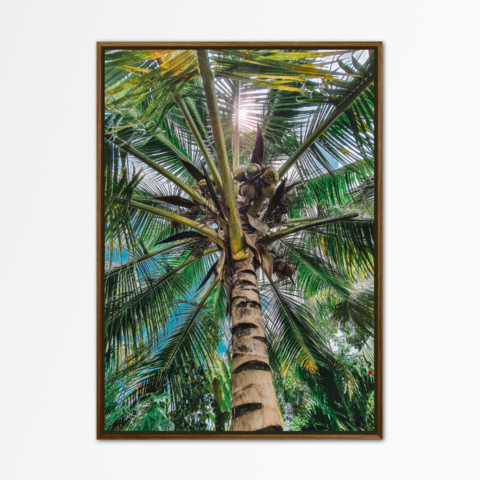 Tropical Palm