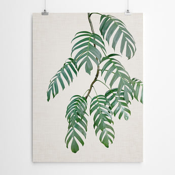 Artworld Wall Art Tropical Plant Canvas Print 846