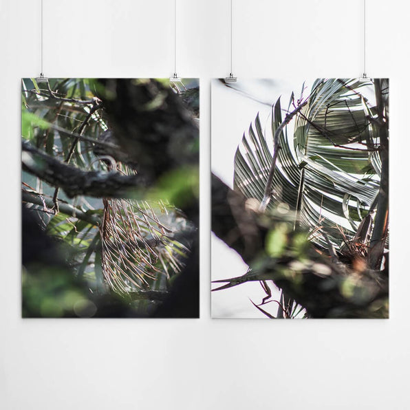 Artworld Wall Art Tropical South African Wall Art 847