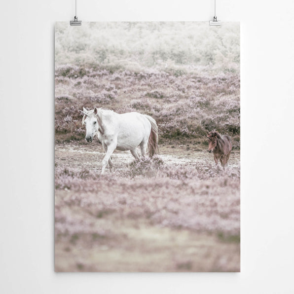 Artworld Wall Art Unicorn Photography Art Print 855