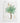 Artworld Wall Art Vintage Aloe Ferox Painting 867