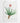 Artworld Wall Art Vintage Aloe Wall Art Print 870