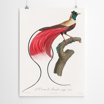 Artworld Wall Art Vintage Bird Art Print 873