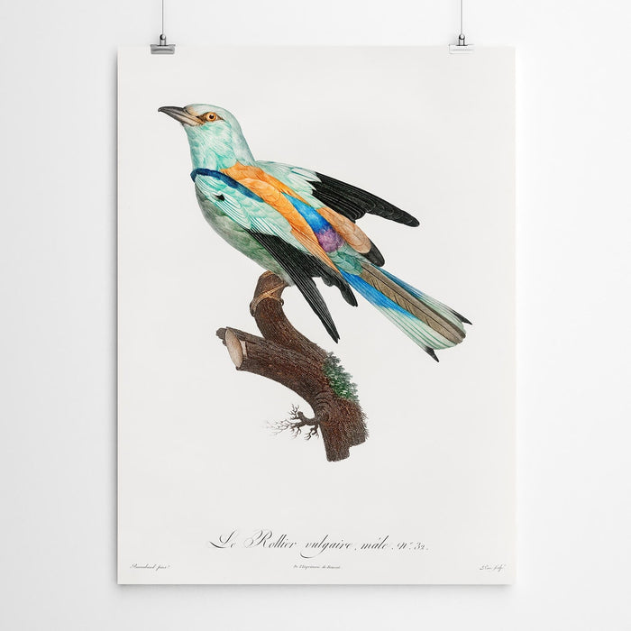 Vintage Bird Wall Art