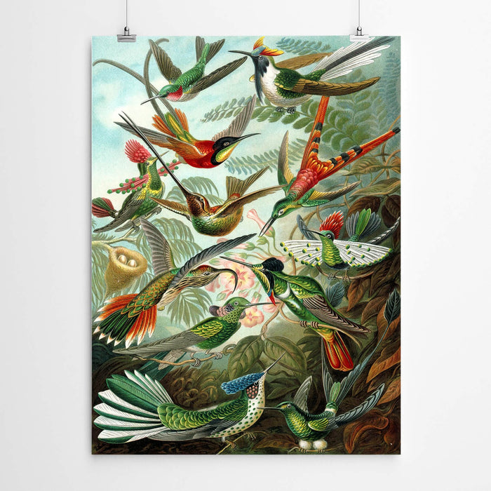 Vintage Bird World Print