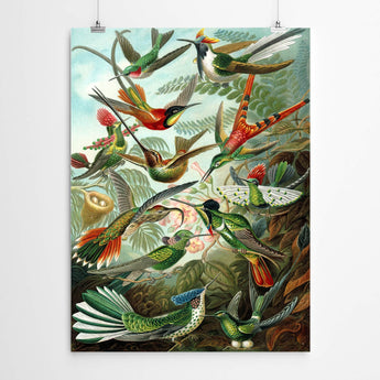 Artworld Wall Art Vintage Bird World Print 876