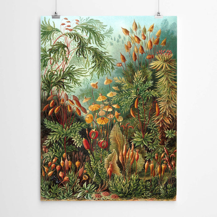 Vintage Botanical Art Print