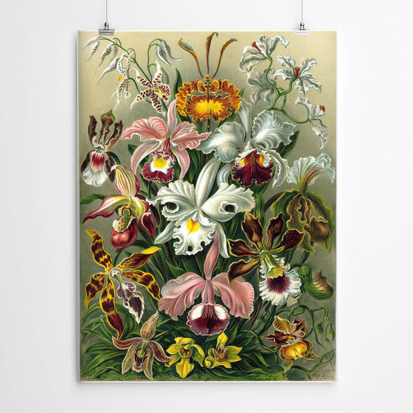 Artworld Wall Art Vintage Flower Art Print 885