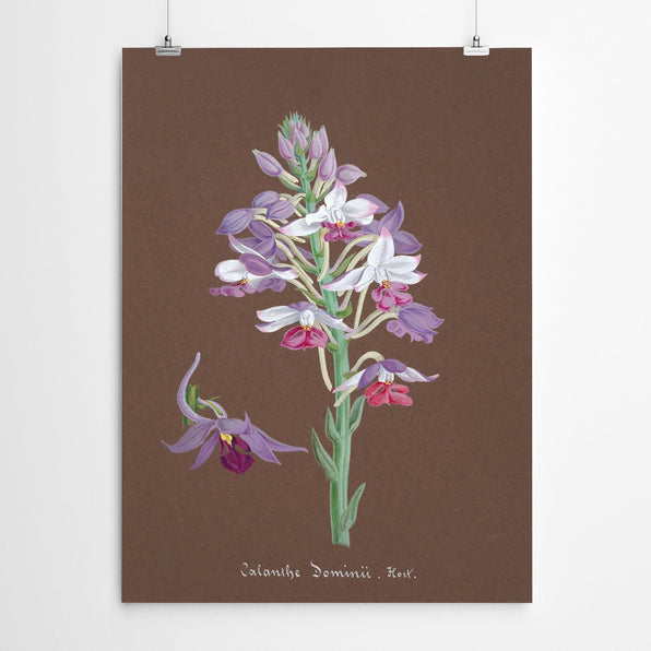 Artworld Wall Art Vintage Flower Wall Art 886