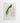 Artworld Wall Art Vintage Green Bird of Paradise Canvas Prints 888