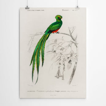 Artworld Wall Art Vintage Green Bird of Paradise Canvas Prints 888