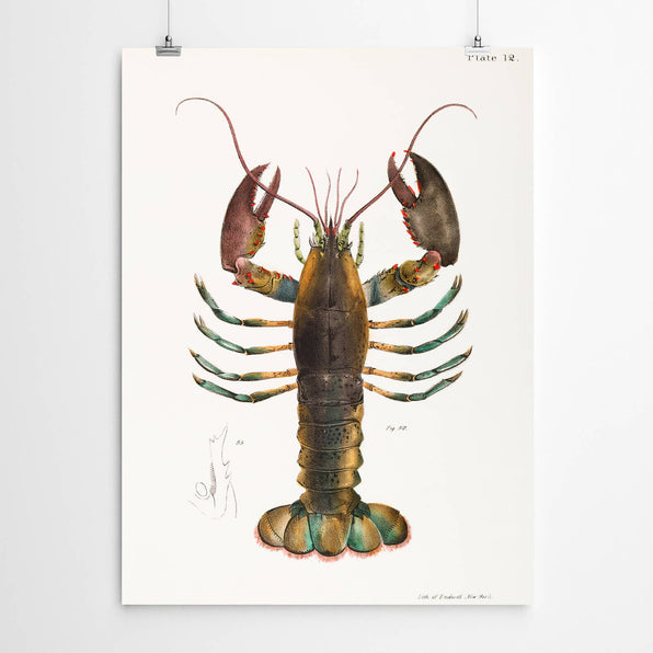 Artworld Wall Art Vintage Lobster Art Print 889