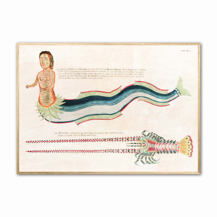Vintage Sieren Poster