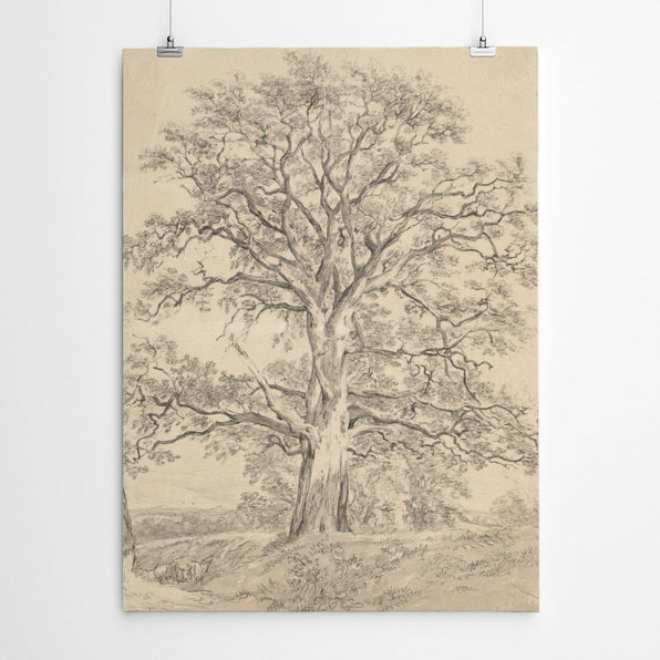 Artworld Wall Art Vintage Tree Charcoal Drawing
