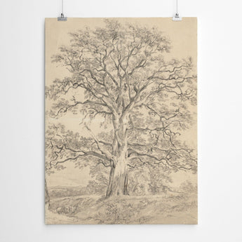 Artworld Wall Art Vintage Tree Charcoal Drawing