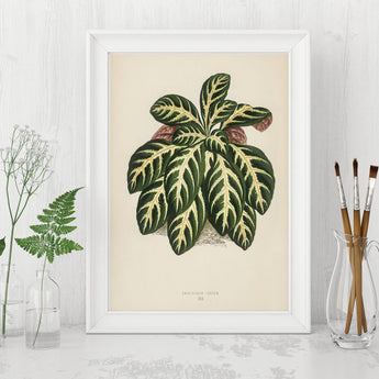 Artworld Wall Art Vintage Tropical Leaf 900