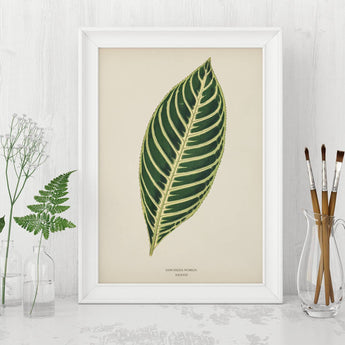 Artworld Wall Art Vintage Tropical Leaf Print