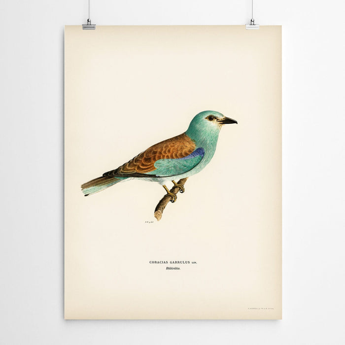 Vintage Watercolour Bird Wall Art