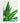 Artworld Wall Art Watercolour Aloe Print