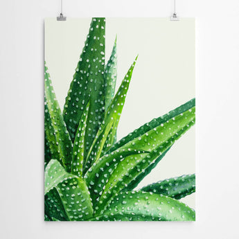 Artworld Wall Art Watercolour Aloe Print