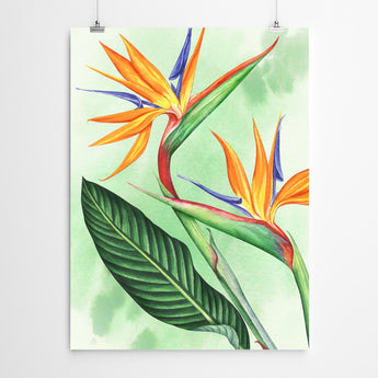 Artworld Wall Art Watercolour botanical Print