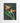 Artworld Wall Art Watercolour Strelitzia Print