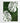 Artworld Wall Art White And Green Monstera Leaf Wall Art