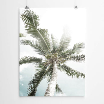 Artworld Wall Art White Tropical Palm Art