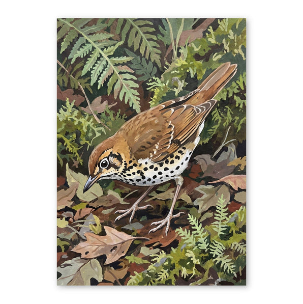 Spotted brown and white wood thrush standing among ferns, oak leaves and green vegetation in an illustrated forest setting
