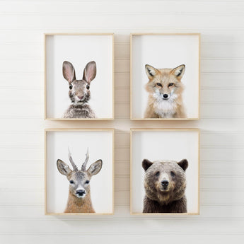 Artworld Wall Art Woodland Nursery Wall Art Prints