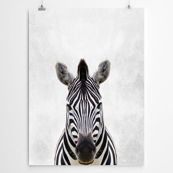 Artworld Wall Art Zebra Fine Art Print