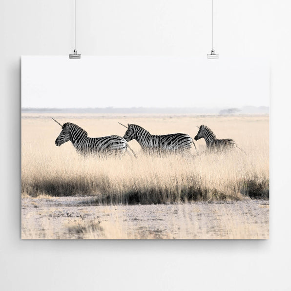Artworld Wall Art Zebra Unicorns Wall Art