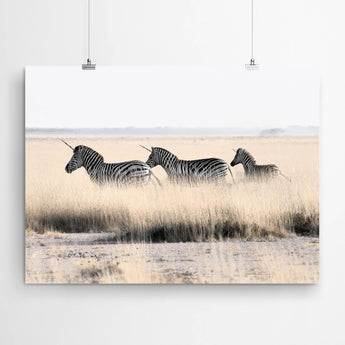 Artworld Wall Art Zebra Unicorns Wall Art